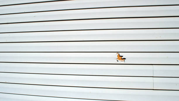 Best Weatherproofing and Sealing  in Weedpatch, CA